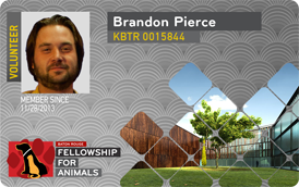 Fellowship for Animals volunteer card concept
